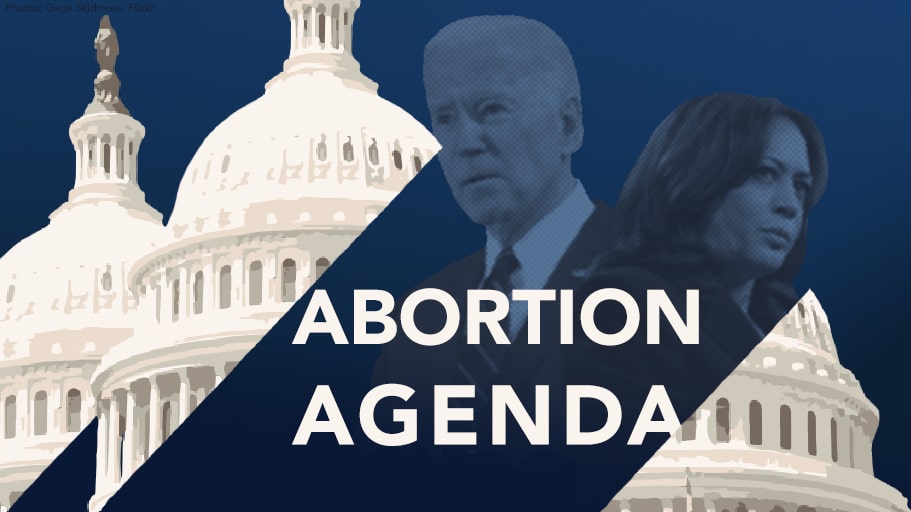 SHAME: Biden Admin Ignores Pro-Abortion Violence, Goes After Pro-Life Advocates
